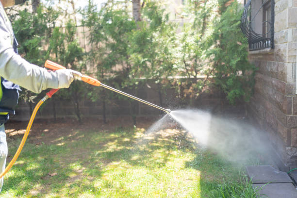 Wasp Removal Services in Centreville, AL