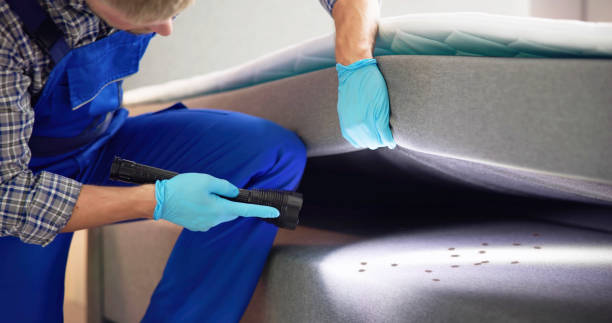Best Affordable Pest Control Services  in Centreville, AL