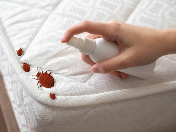 Professional Pest Control in Centreville, AL