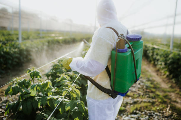 Best Wasp Removal Services  in Centreville, AL
